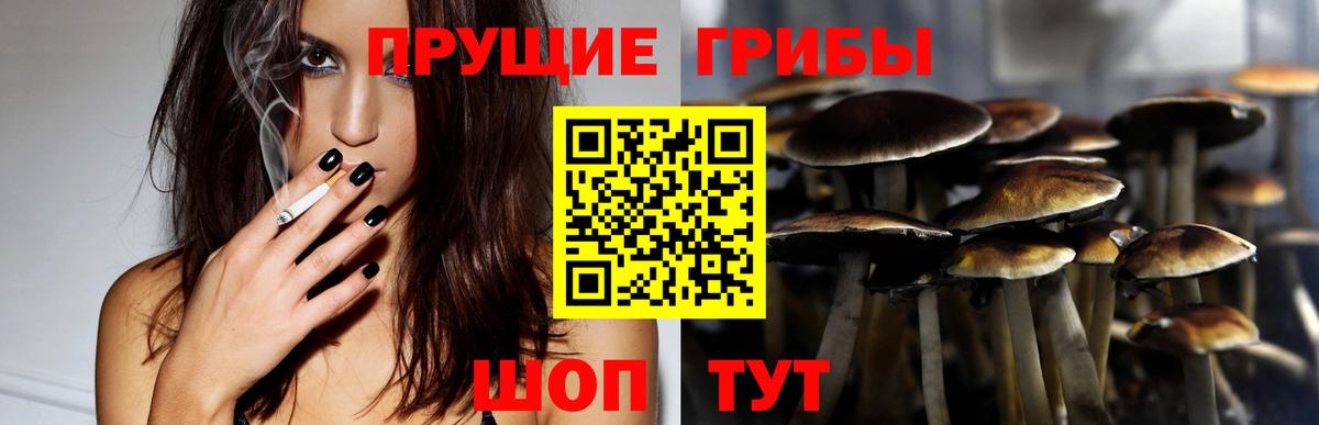 Рославль  Псилоцибиновые грибы Psilocybe  Галлюциногенные грибы ЛСД  Вход с VPN 
